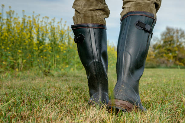 istock Rubber boots for use in agriculture. 1185513396