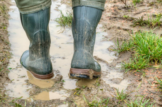 istock Rubber boots for use in agriculture. 1185513412