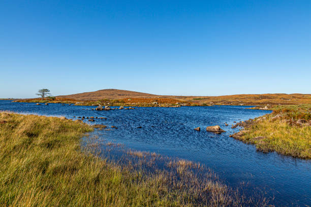 istock Loch Druidibeg with a Blue Sky Overhead 1185514457