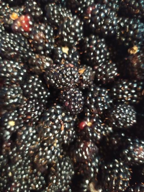 istock Background from fresh Blackberries, close up 1185515975