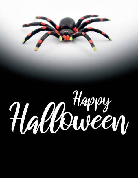 istock Happy Halloween Sign with spider illustration 1185517236