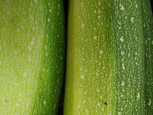 istock Structure of a zucchini peel as a texture 1185519637