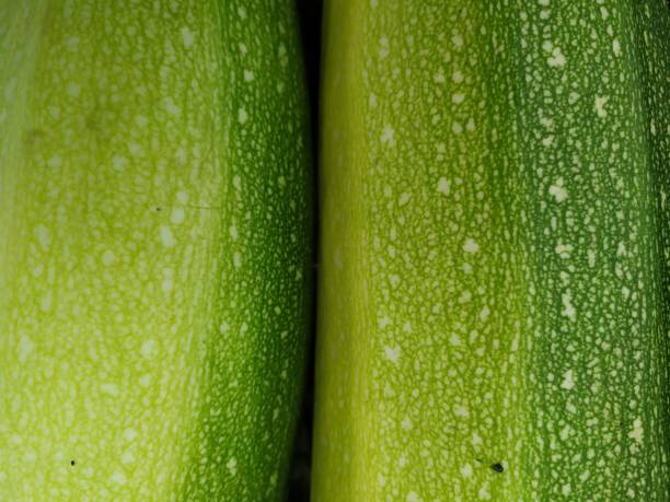 istock Structure of a zucchini peel as a texture 1185519644