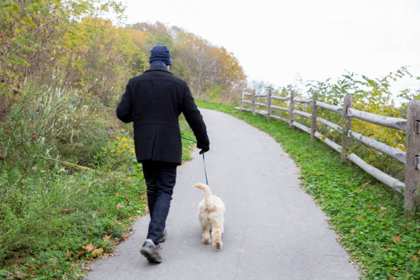 istock Father, son and dog 1185519710