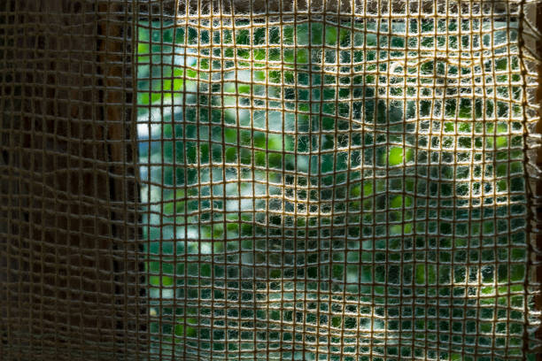 A rare fabric of cotton fluffy yarns attached to the wooden frame is against sunlight. There is summer greenery behind the fabric net. Part of the grid is shadowed.