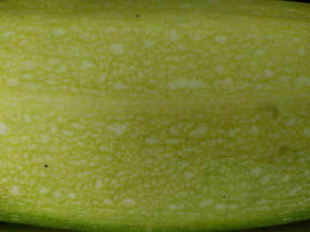 istock Structure of a zucchini peel as a texture 1185520584