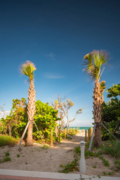 istock Pathway to the beach Miami long exposure image with motion blur in trees 1185522397