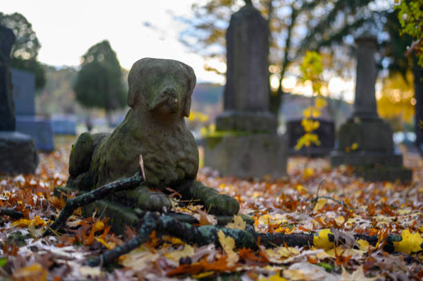 A dog tombstone located in a cemetery.