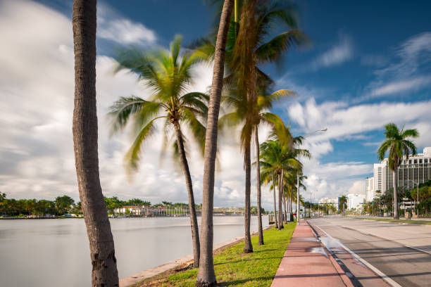 istock Sidewalk in Miami Beach Collins Avenue 1185525668