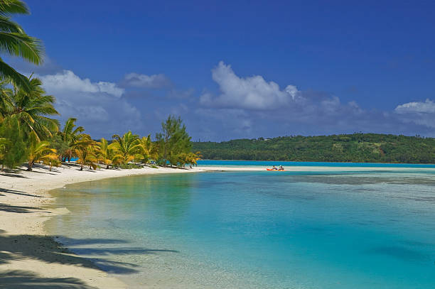 Tropical Dream Paradise stock photo