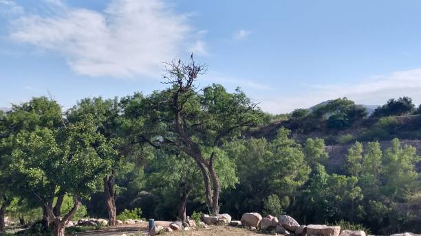 istock landscapes, andalgala, catamarca 1185532643