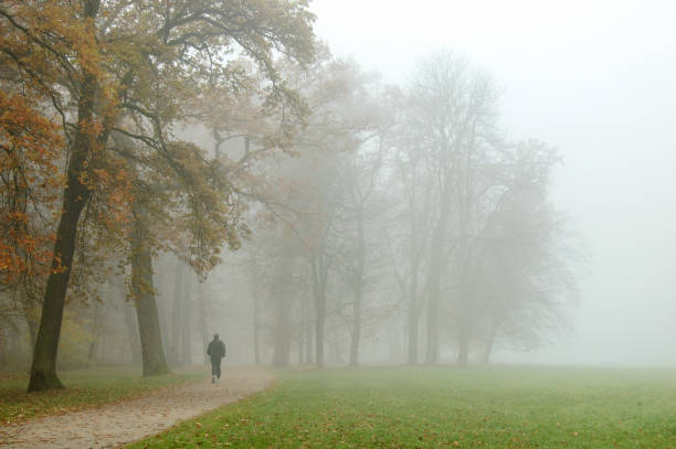istock Jogging in an autumnal park 1185534539