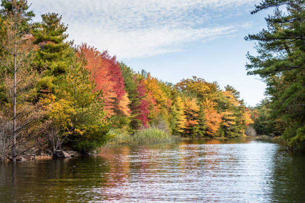 istock autumn Canadian landscape 1185534572