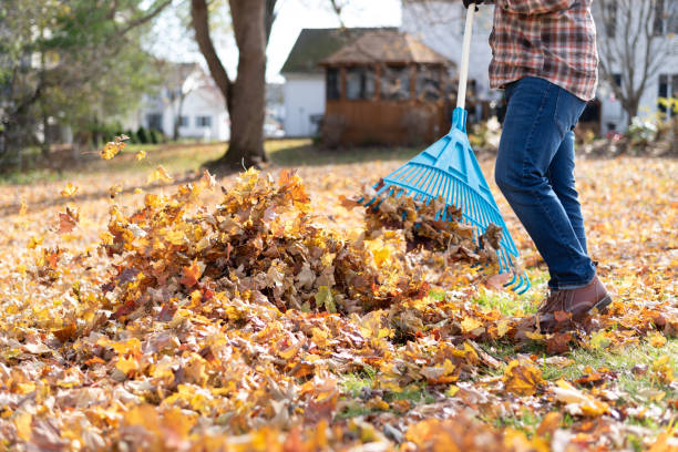 istock Raking leaves in autumn 1185535419