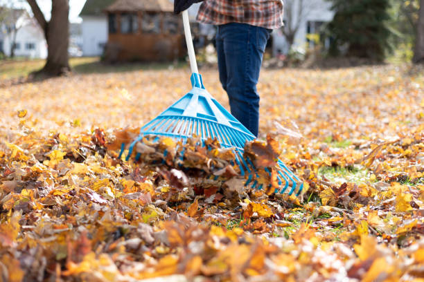 istock Low angle view of man raking leaves 1185535422