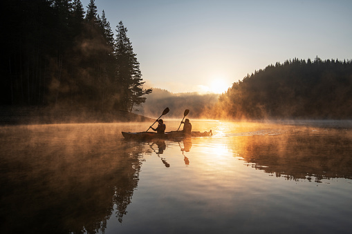 Mountain creek flows from forest hills into glacial lake in mysterious fog. Small river and coniferous trees reflected in calm alpine lake in misty morning. Tranquil landscape in fading autumn colors.