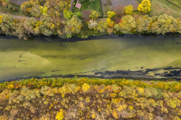 Aerial view of the Seym River at Baturyn in Ukraine. Beautiful autumn river landscape. Top view. Aerial view of the Seym River at Baturyn in Ukraine. Beautiful autumn river landscape baturyn stock pictures, royalty-free photos & images