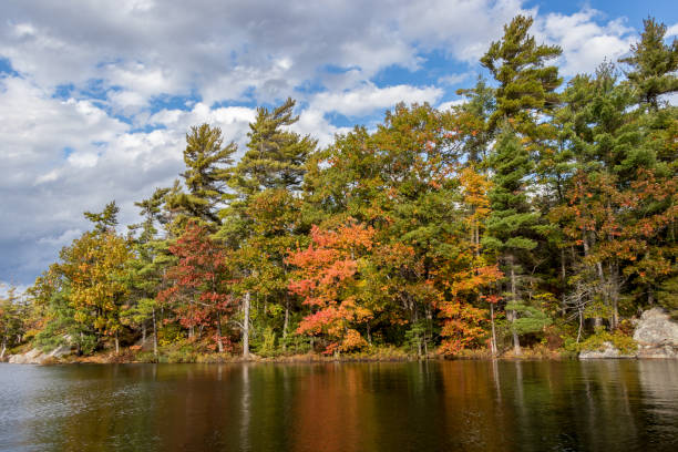 istock autumn day at the lake 1185541149