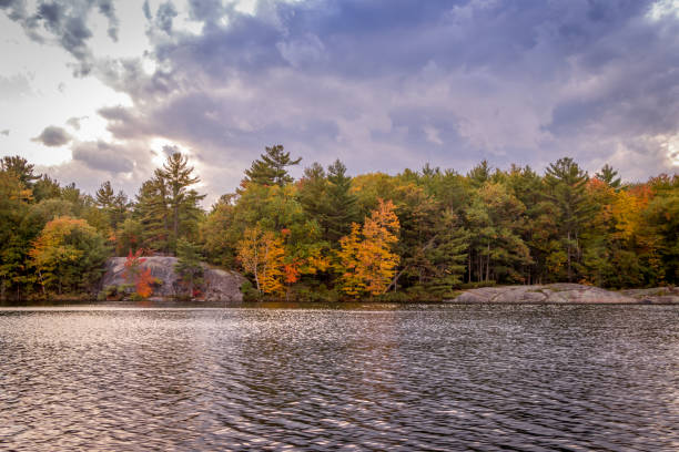 istock autumn landscape at the lake 1185541209
