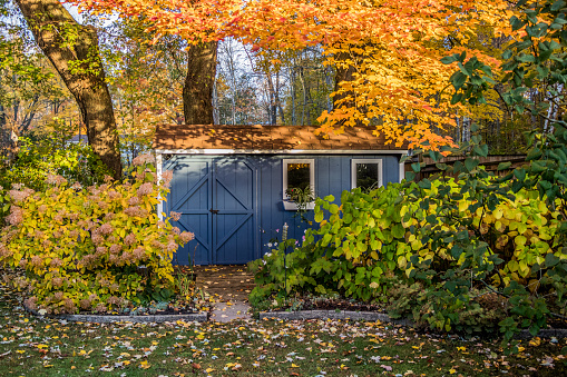 blue she-shed in the backyard on an autumn day in Canada
