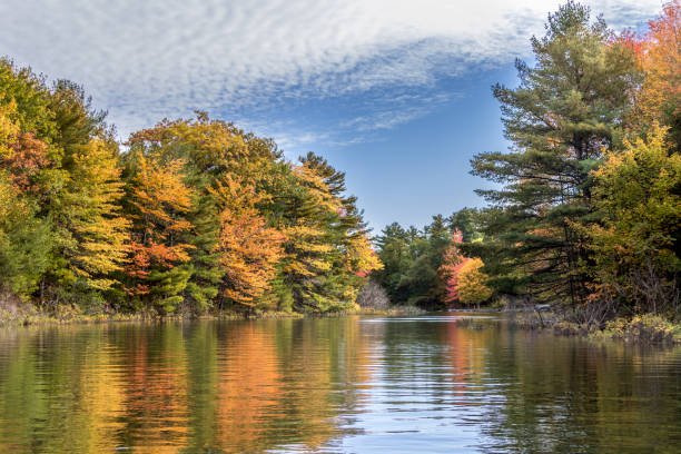 istock autumn at the lake 1185541294