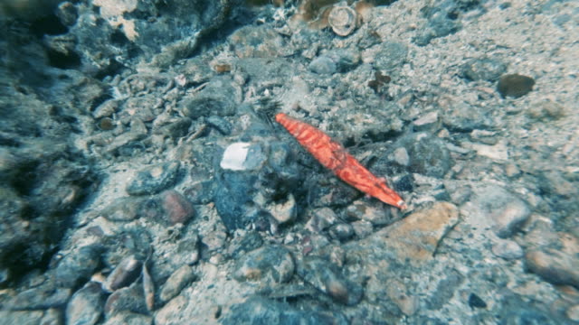 Discarded Ghost Net big game fishing tackle on ocean floor