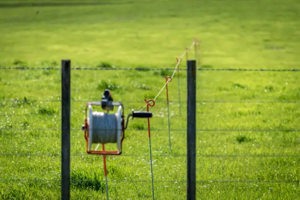 Photo of Electric wire running through a paddock on a milk farm