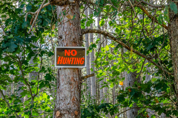 istock No Hunting Sign 1185543248