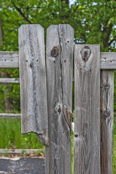 istock Fence in Need of Repair 1185543545