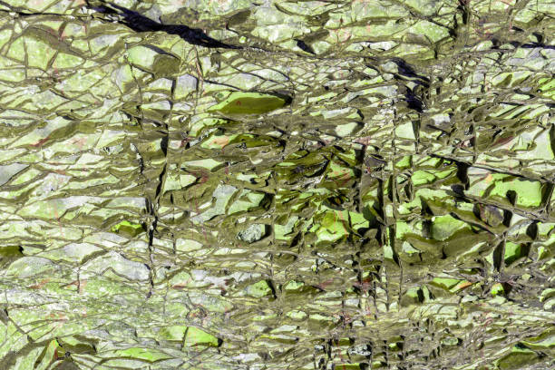 istock abstract unique texture of the sea, stone on the shore. 1185545111