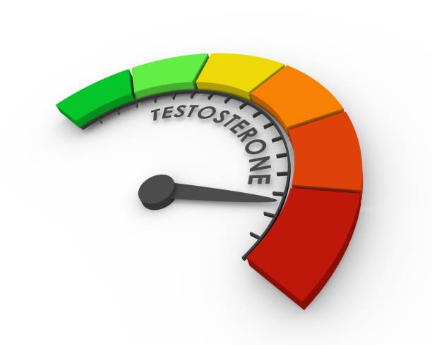 Medical background concept Hormone testosterone level measuring scale. Health care concept illustration. 3D rendering Testosterone Therapy stock pictures, royalty-free photos & images