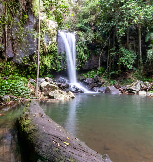 istock Curtis Falls in Tamborine Mountain 1185550693