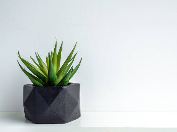 istock Modern geometric concrete planter. Beautiful concrete pot. 1185550826