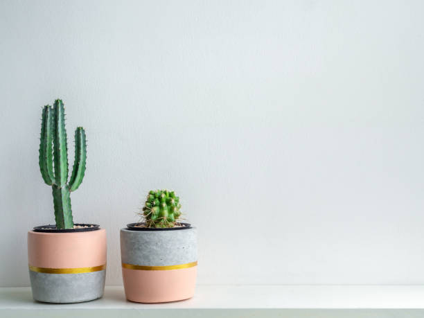istock Modern geometric concrete planter. Beautiful concrete pot. 1185550842