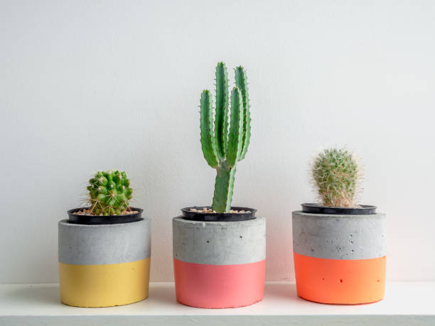 istock Modern geometric concrete planter. Beautiful concrete pot. 1185550854