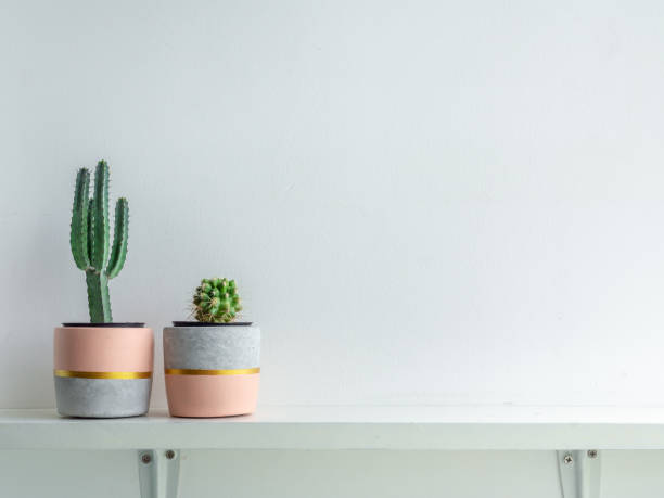 istock Modern geometric concrete planter. Beautiful concrete pot. 1185550870