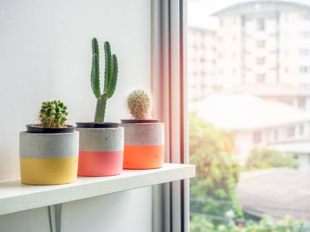 istock Modern geometric concrete planter. Beautiful concrete pot. 1185550880