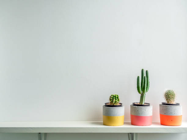 istock Modern geometric concrete planter. Beautiful concrete pot. 1185550888