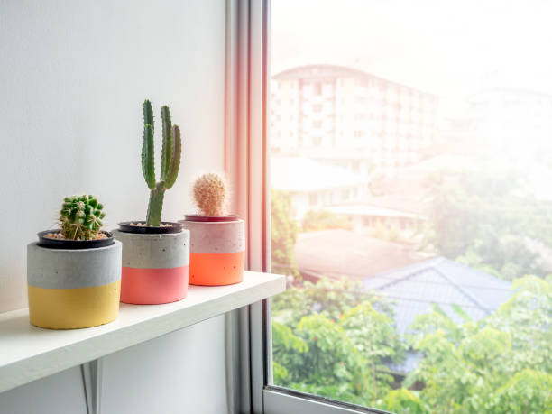 istock Modern geometric concrete planter. Beautiful concrete pot. 1185550896
