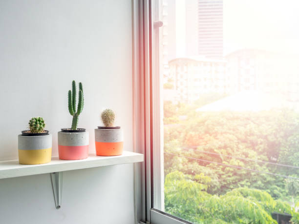 istock Modern geometric concrete planter. Beautiful concrete pot. 1185550898