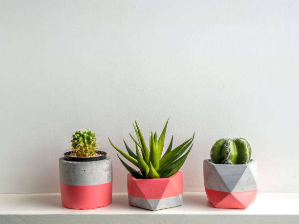 istock Modern geometric concrete planter. Beautiful concrete pot. 1185550912