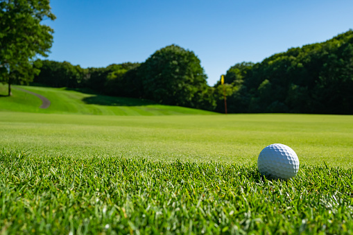 Golf ball on the beautiful green of the turf. Golf course with a rich green turf beautiful scenery.