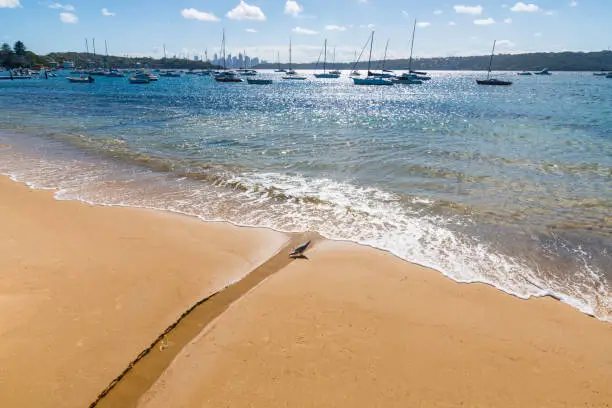 Photo of Watsons Bay close to Sydney, NSW, Australia. Beautiful and very expensive suburb in New South Wales