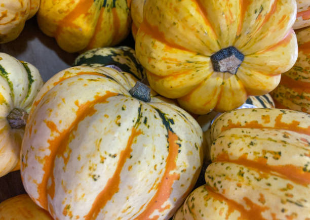 istock A closeup of some squashes 1185554370