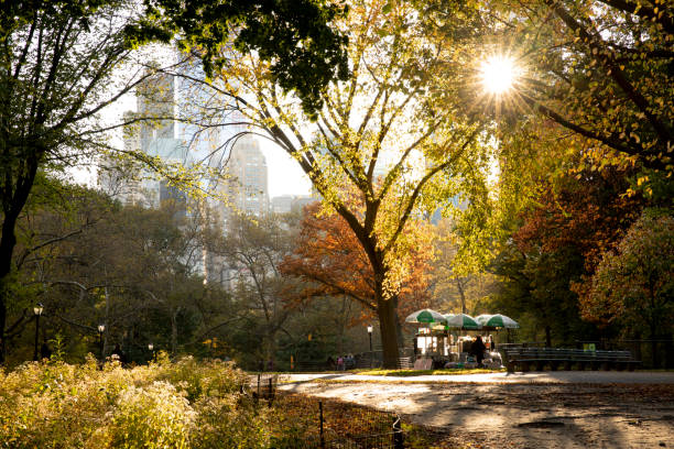 Central Park Autumn Footpath Empty footpath after the rains in Central Park during autumn season. hot dog stand stock pictures, royalty-free photos & images