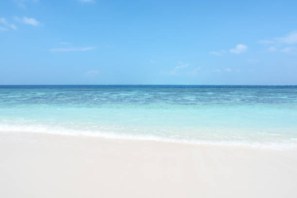 istock Tropical beach with turquoise sea 1185559398