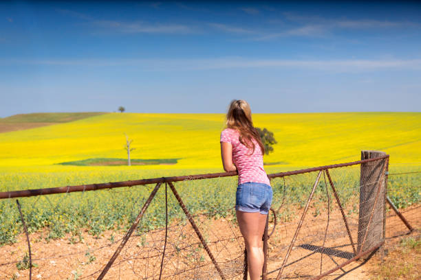 Leaning on farm gate looking out over rural countryside rolling hills of golden canola crops under a pretty blue spring sky.  Shallow depth of field with focus to girl, space for copy