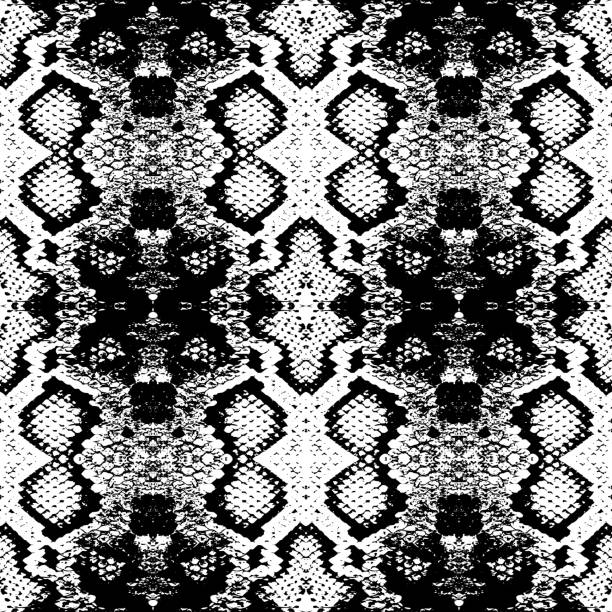 70+ Reticulated Python Background Stock Illustrations, Royalty-Free ...