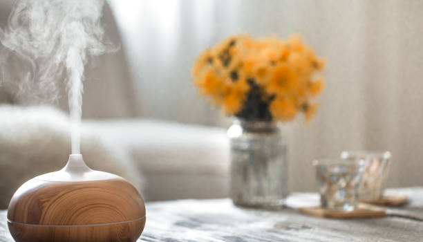 istock Humidifier on the table in the living room. 1185570471