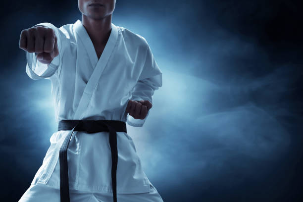 istock Karate martial arts fighter on dark background 1185574915